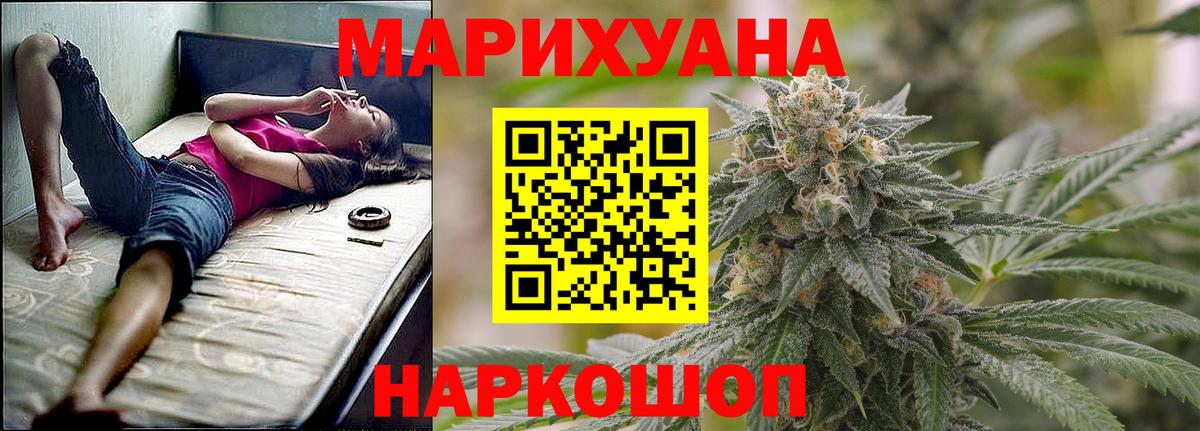 Каннабис OG Kush Малгобек